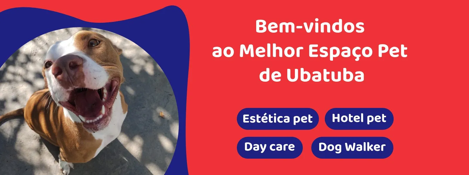Bem-vindos ao melhor Espaço Pet de Ubatuba: estética pet, hotel pet, day care e dog walker