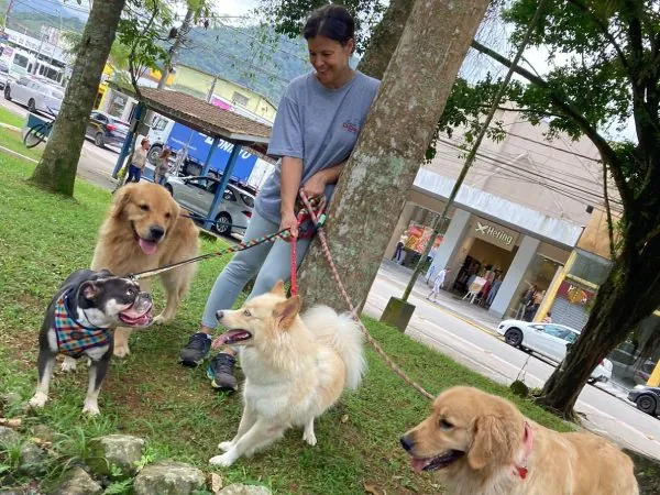Passeio de Dog Walker com vários cães em Ubatuba